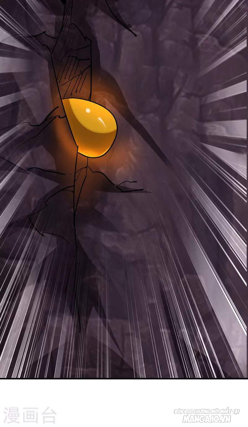 Siêu Cấp Thần Y Tại Đô Thị Chapter 226 - Trang 2