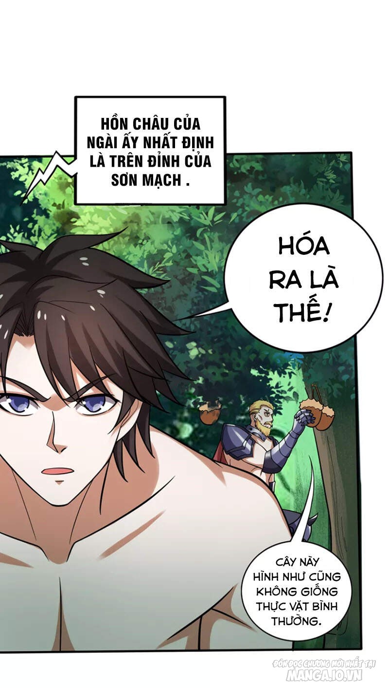 Siêu Cấp Thần Y Tại Đô Thị Chapter 229 - Trang 2
