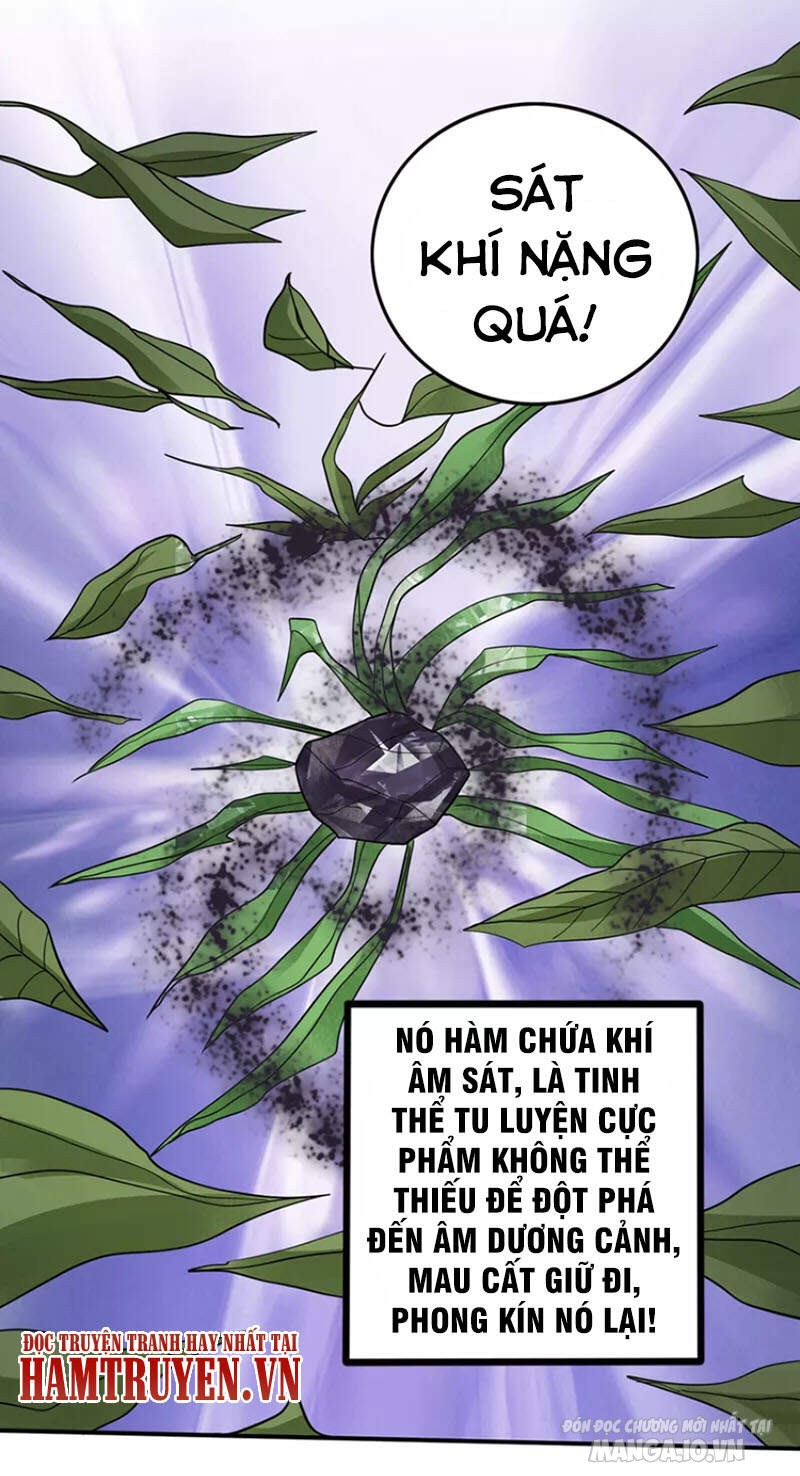 Siêu Cấp Thần Y Tại Đô Thị Chapter 229 - Trang 2