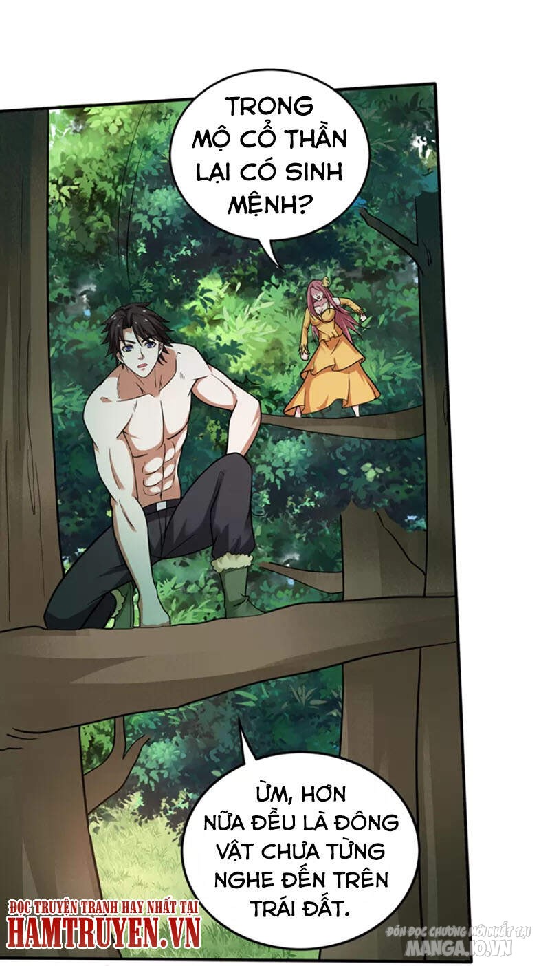 Siêu Cấp Thần Y Tại Đô Thị Chapter 229 - Trang 2