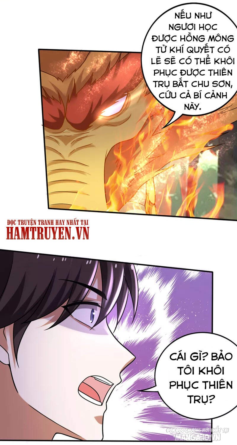 Siêu Cấp Thần Y Tại Đô Thị Chapter 230 - Trang 2