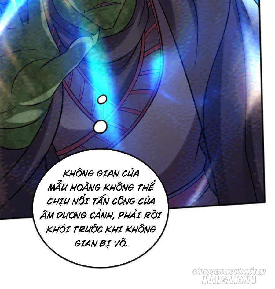 Siêu Cấp Thần Y Tại Đô Thị Chapter 237 - Trang 2