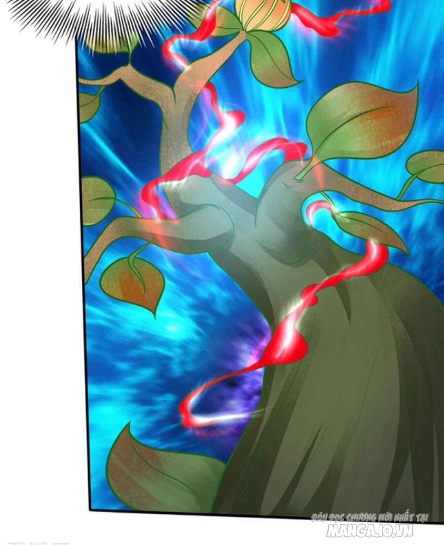 Siêu Cấp Thần Y Tại Đô Thị Chapter 237 - Trang 2