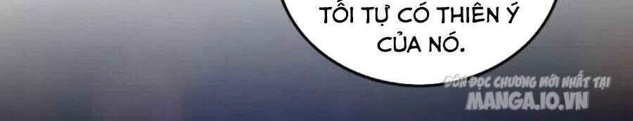 Siêu Cấp Thần Y Tại Đô Thị Chapter 240 - Trang 2