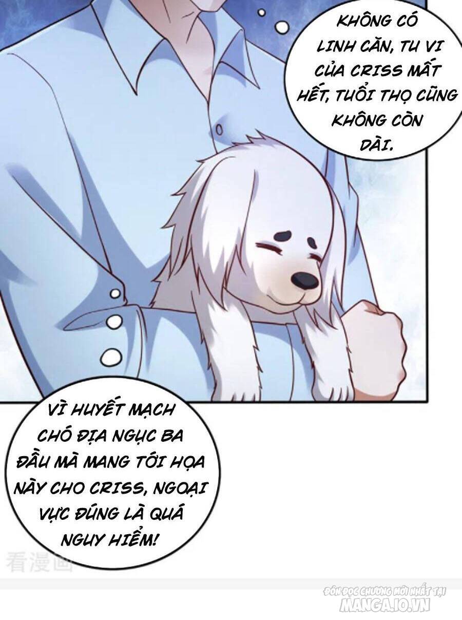 Siêu Cấp Thần Y Tại Đô Thị Chapter 244 - Trang 2