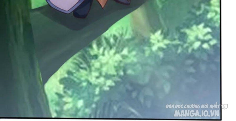 Siêu Cấp Thần Y Tại Đô Thị Chapter 245 - Trang 2