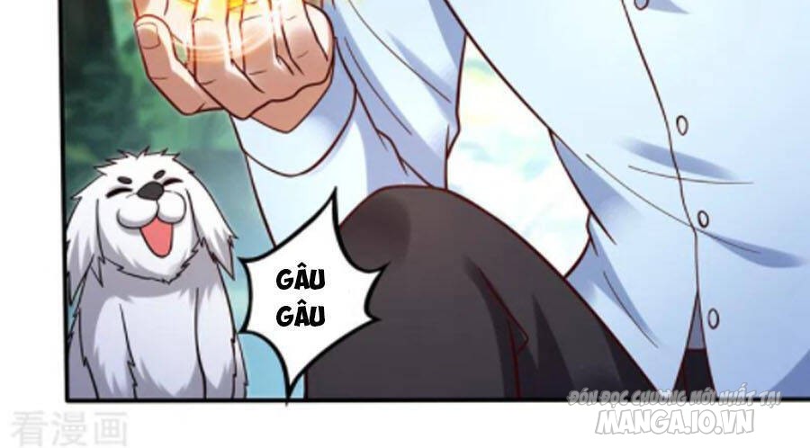 Siêu Cấp Thần Y Tại Đô Thị Chapter 246 - Trang 2