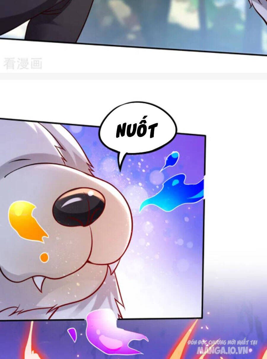 Siêu Cấp Thần Y Tại Đô Thị Chapter 246 - Trang 2