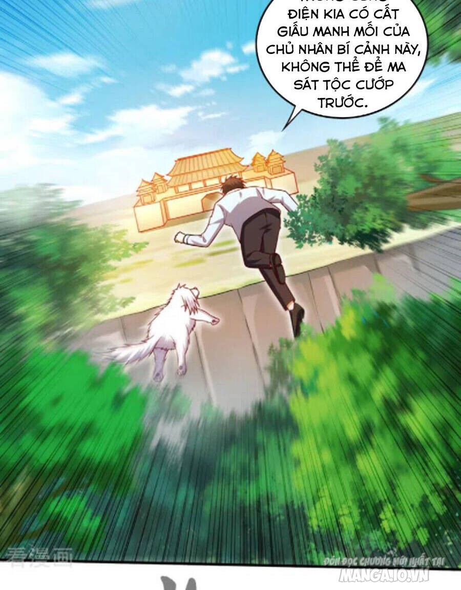Siêu Cấp Thần Y Tại Đô Thị Chapter 248 - Trang 2