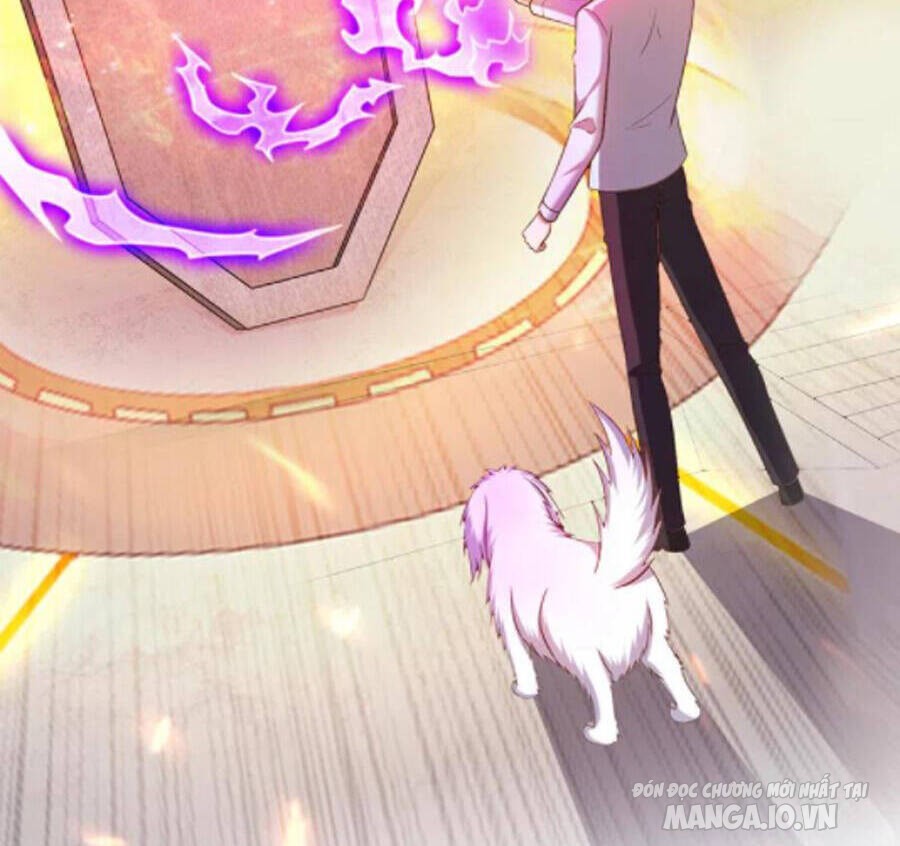 Siêu Cấp Thần Y Tại Đô Thị Chapter 249 - Trang 2