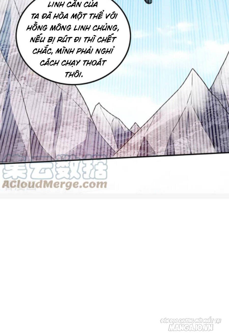 Siêu Cấp Thần Y Tại Đô Thị Chapter 251 - Trang 2