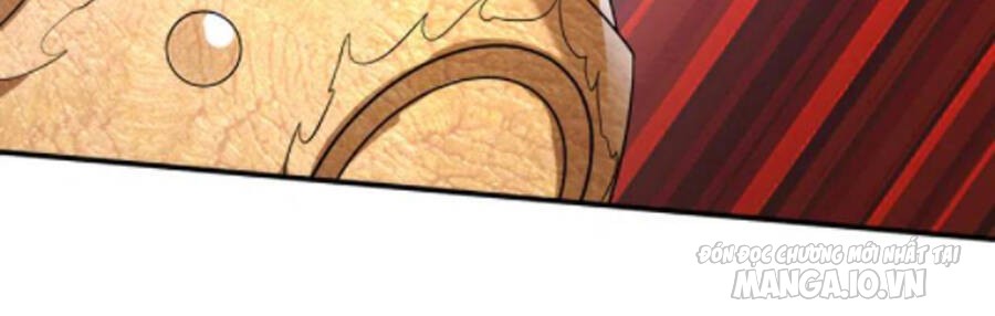 Siêu Cấp Thần Y Tại Đô Thị Chapter 252 - Trang 2