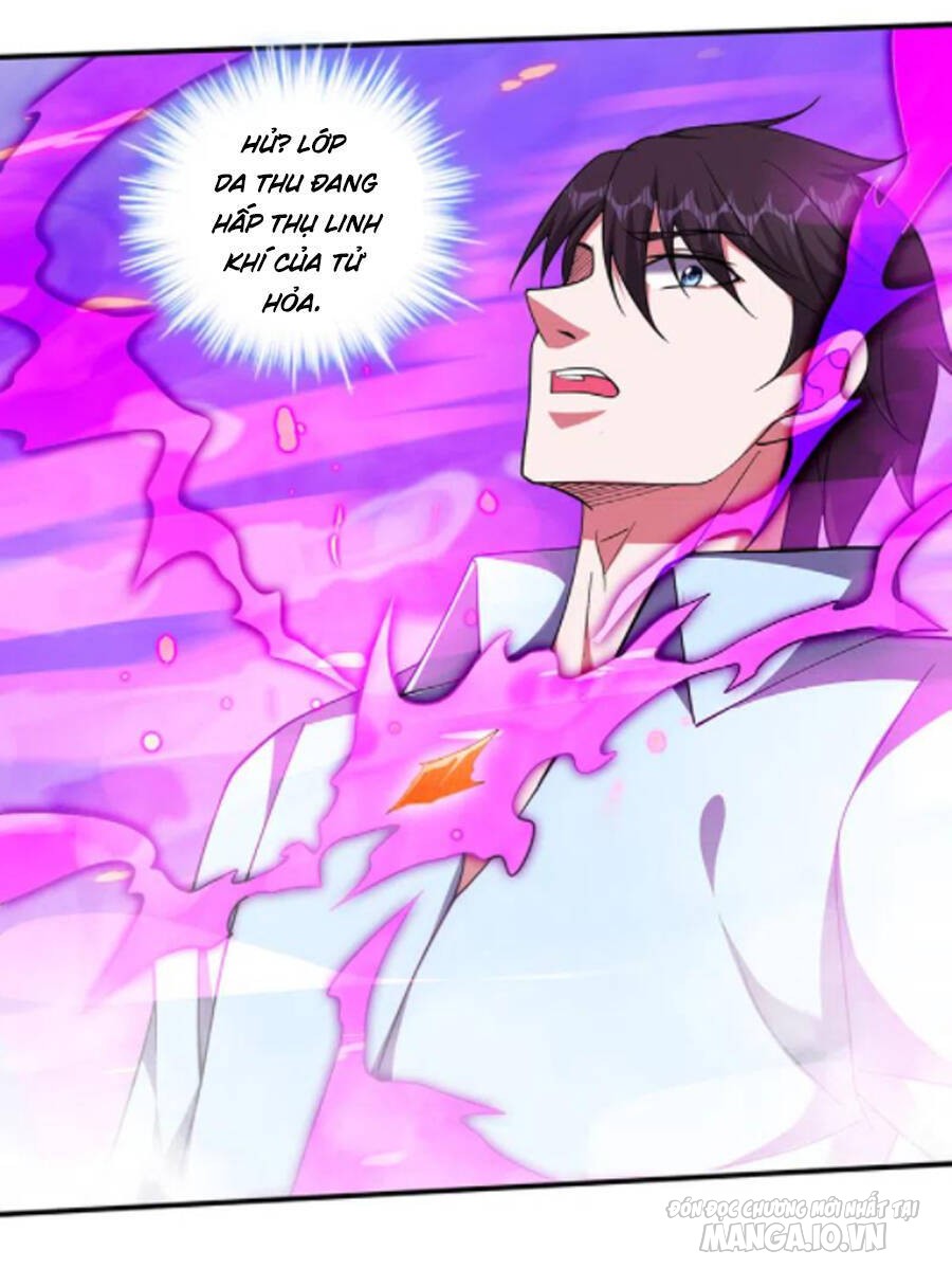 Siêu Cấp Thần Y Tại Đô Thị Chapter 252 - Trang 2