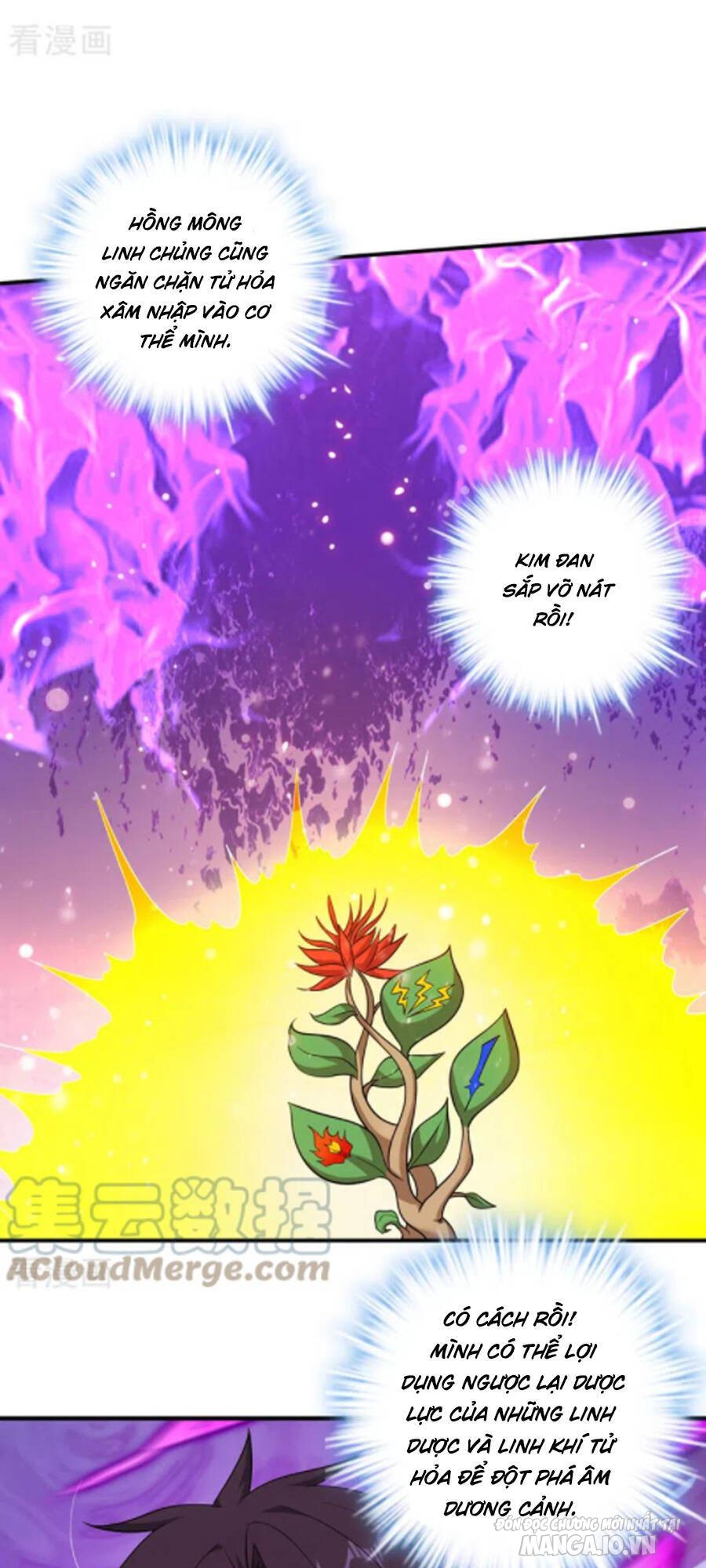 Siêu Cấp Thần Y Tại Đô Thị Chapter 252 - Trang 2