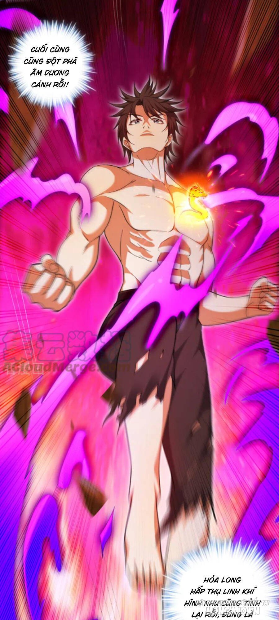 Siêu Cấp Thần Y Tại Đô Thị Chapter 252 - Trang 2