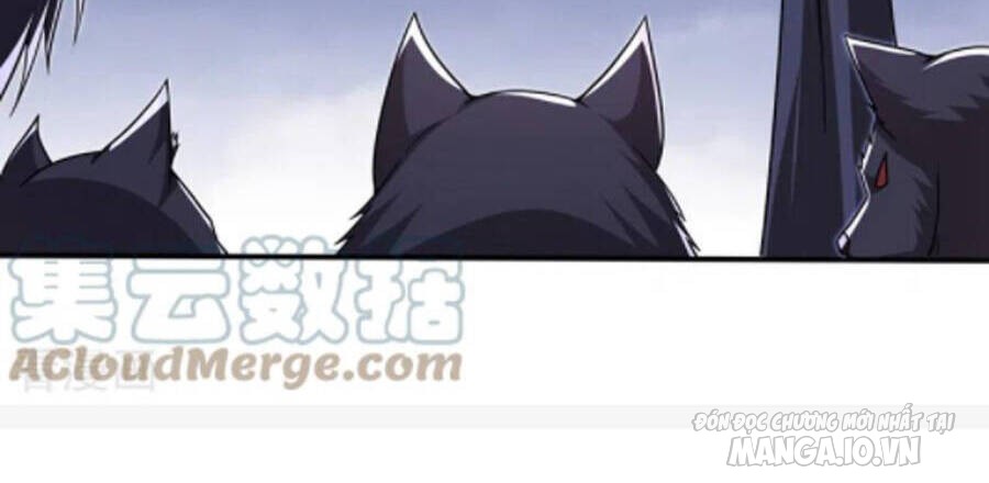 Siêu Cấp Thần Y Tại Đô Thị Chapter 253 - Trang 2