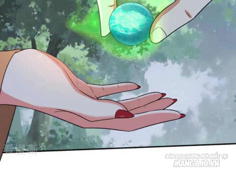 Siêu Cấp Thần Y Tại Đô Thị Chapter 255 - Trang 2