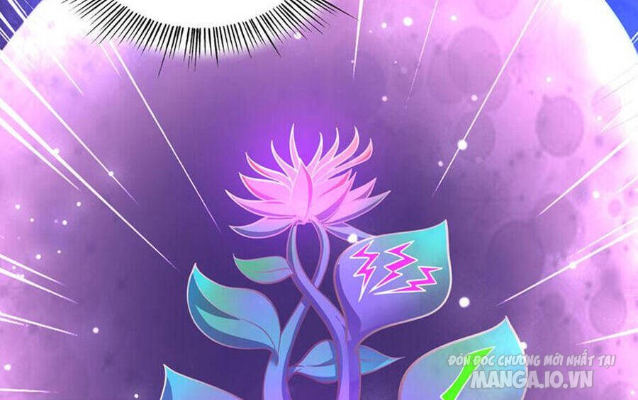 Siêu Cấp Thần Y Tại Đô Thị Chapter 261 - Trang 2