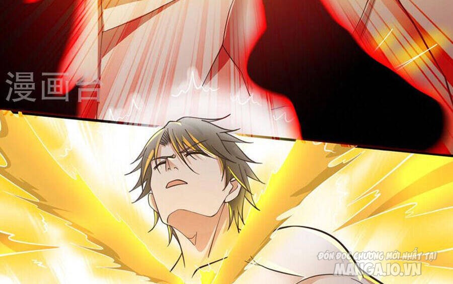 Siêu Cấp Thần Y Tại Đô Thị Chapter 261 - Trang 2