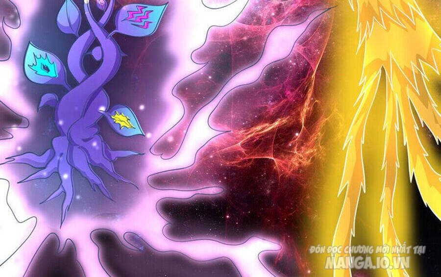 Siêu Cấp Thần Y Tại Đô Thị Chapter 261 - Trang 2