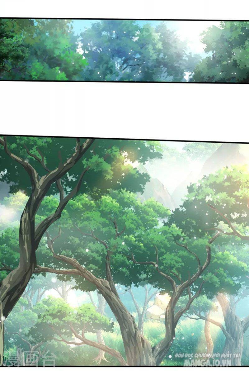 Siêu Cấp Thần Y Tại Đô Thị Chapter 262 - Trang 2