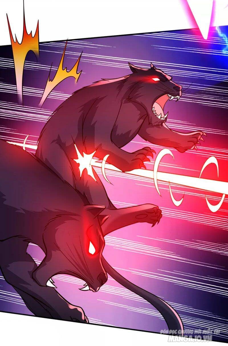 Siêu Cấp Thần Y Tại Đô Thị Chapter 262 - Trang 2