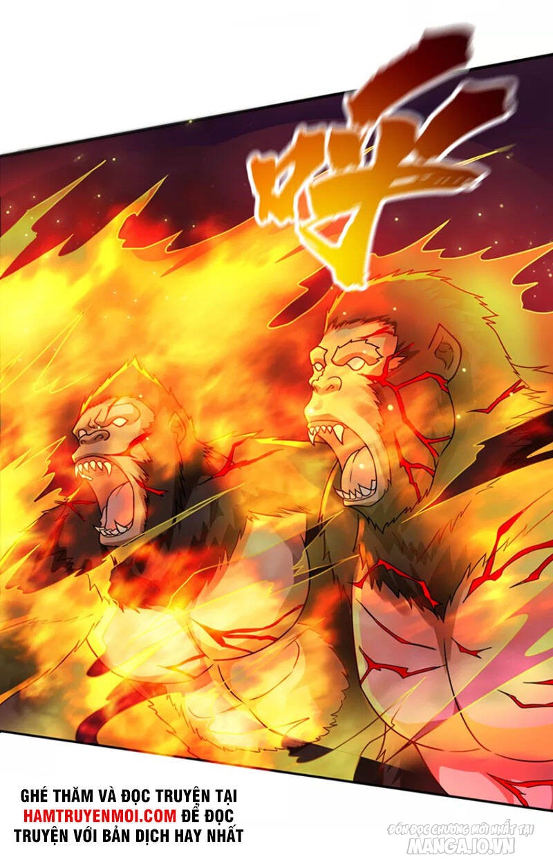 Siêu Cấp Thần Y Tại Đô Thị Chapter 264 - Trang 2