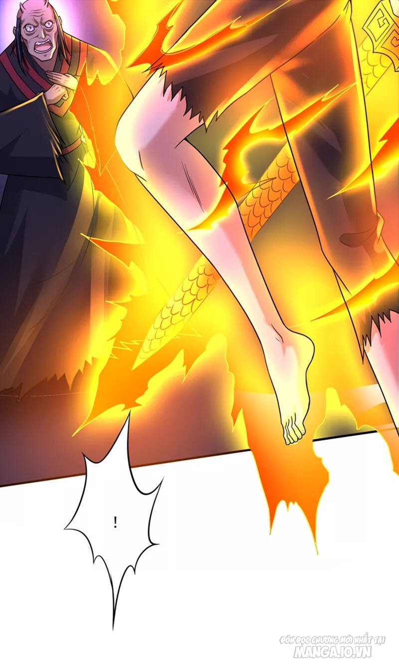 Siêu Cấp Thần Y Tại Đô Thị Chapter 264 - Trang 2