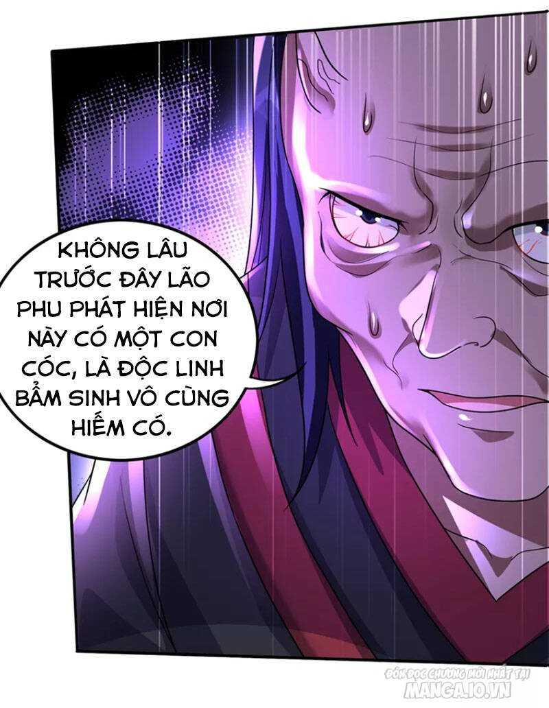 Siêu Cấp Thần Y Tại Đô Thị Chapter 264 - Trang 2