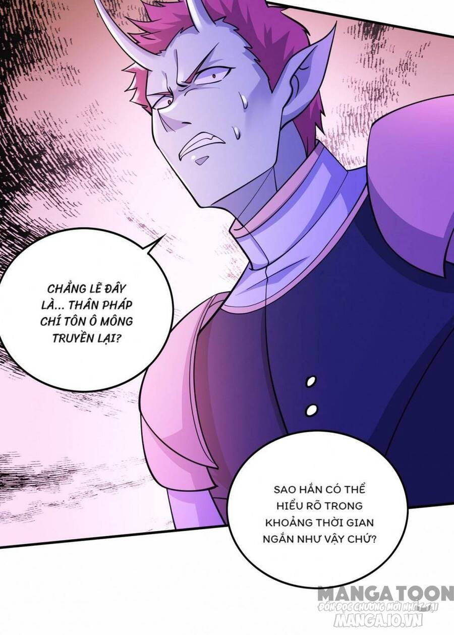 Siêu Cấp Thần Y Tại Đô Thị Chapter 271 - Trang 2