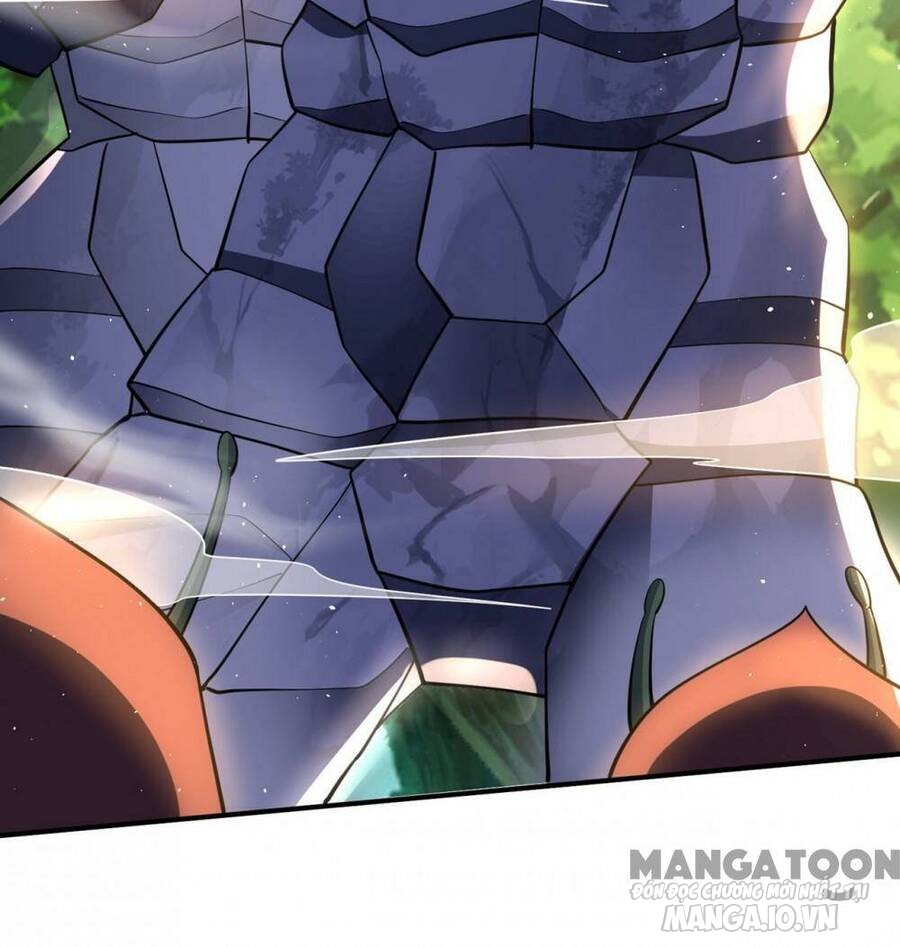 Siêu Cấp Thần Y Tại Đô Thị Chapter 282 - Trang 2