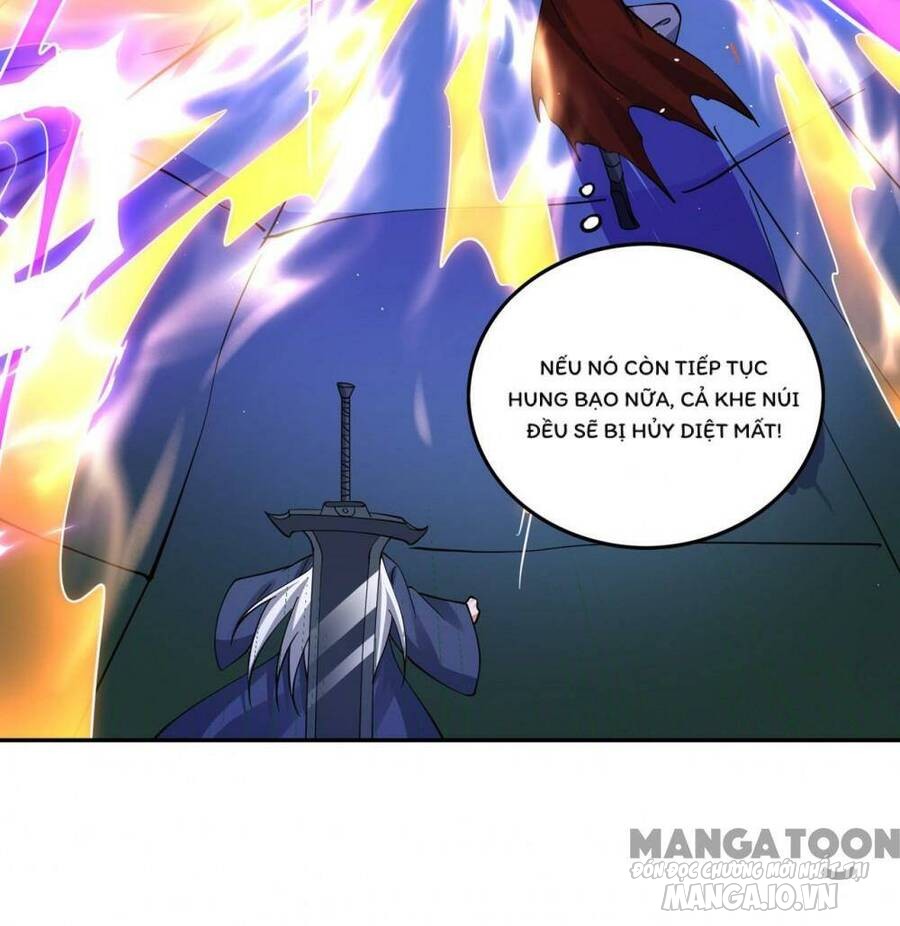 Siêu Cấp Thần Y Tại Đô Thị Chapter 294 - Trang 2