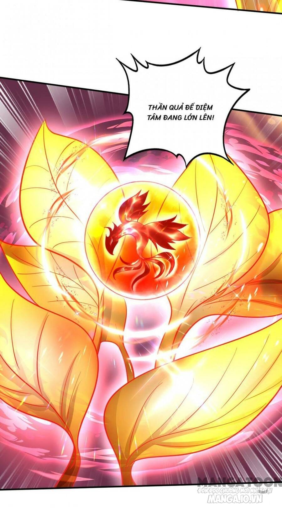 Siêu Cấp Thần Y Tại Đô Thị Chapter 309 - Trang 2