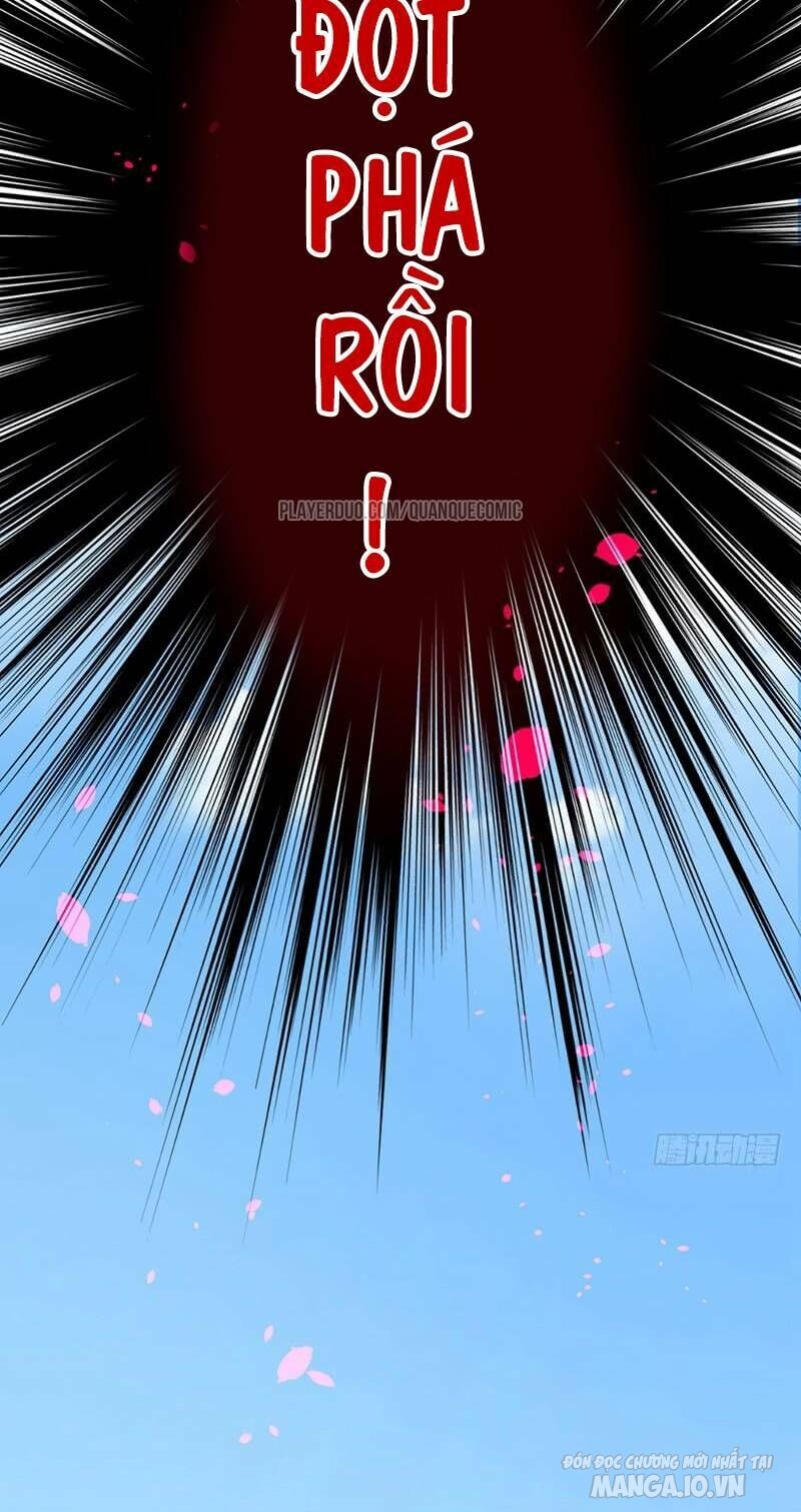Siêu Cấp Thần Y Tại Đô Thị Chapter 38 - Trang 2