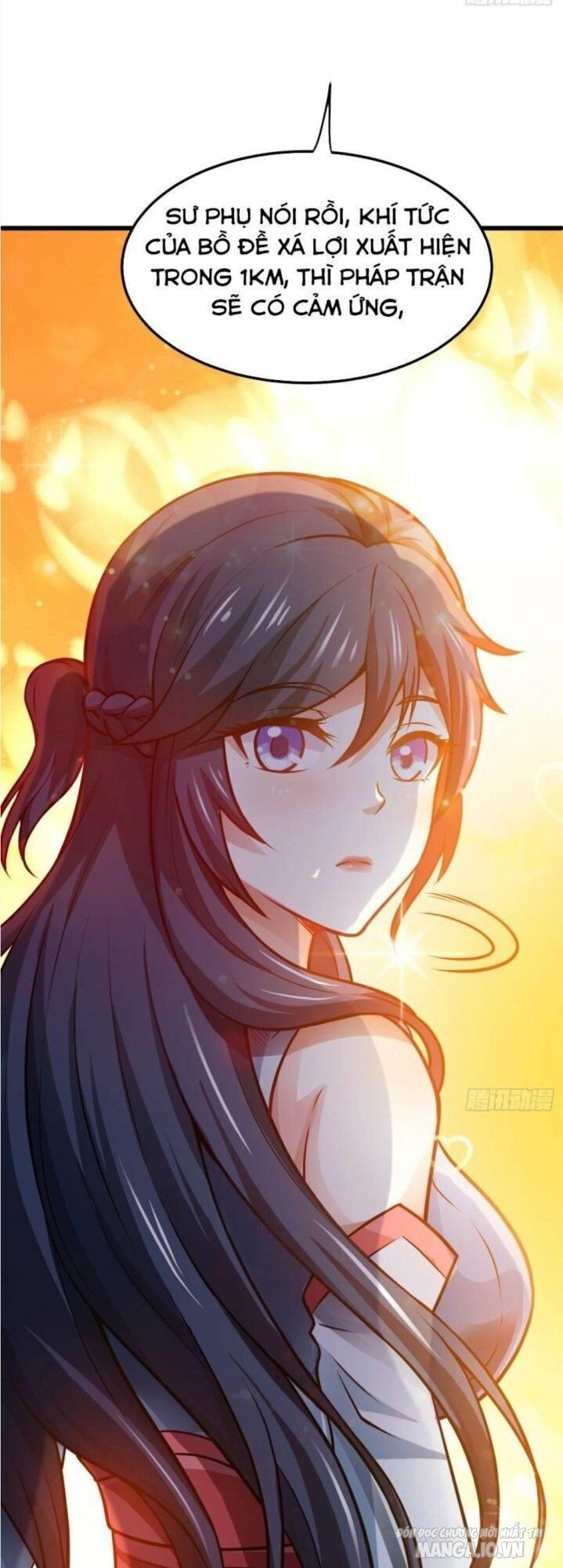 Siêu Cấp Thần Y Tại Đô Thị Chapter 66 - Trang 2