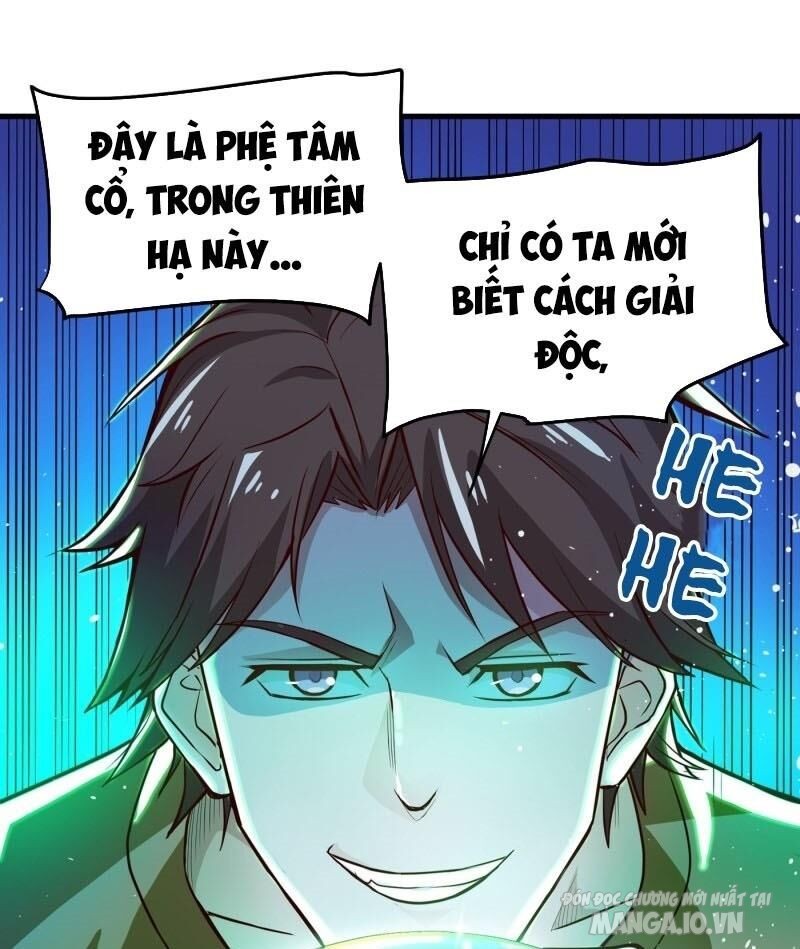 Siêu Cấp Thần Y Tại Đô Thị Chapter 71 - Trang 2