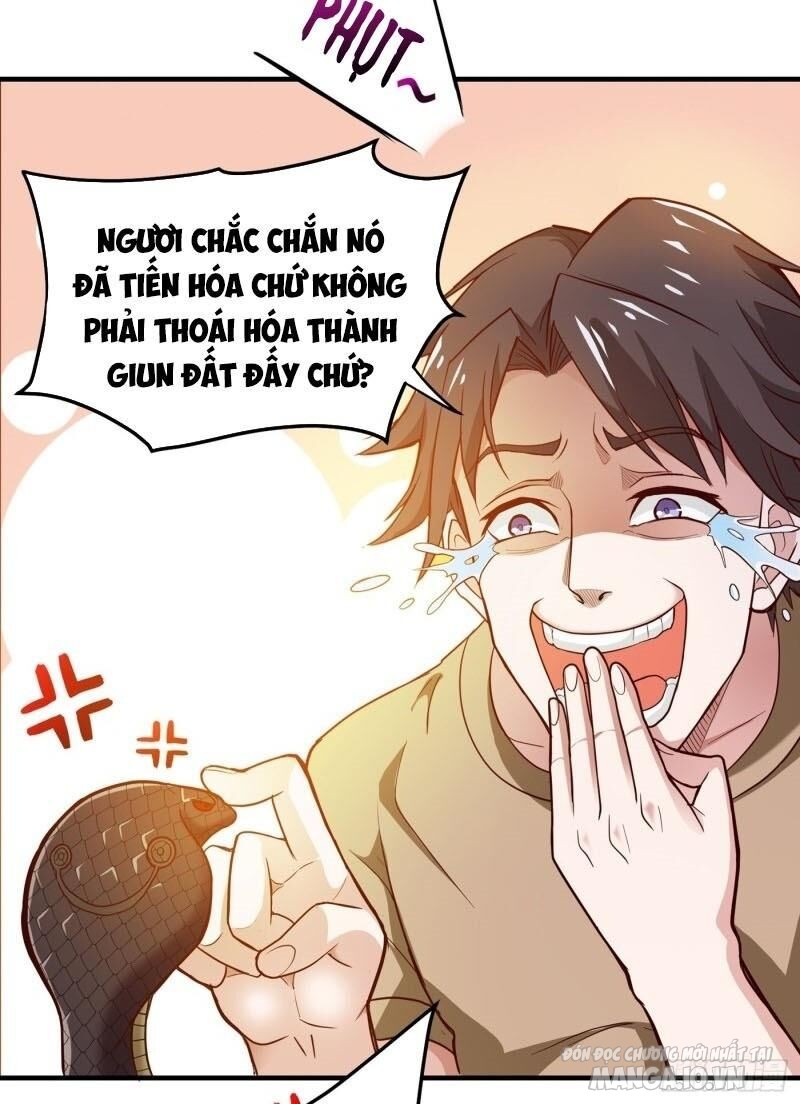 Siêu Cấp Thần Y Tại Đô Thị Chapter 72 - Trang 2