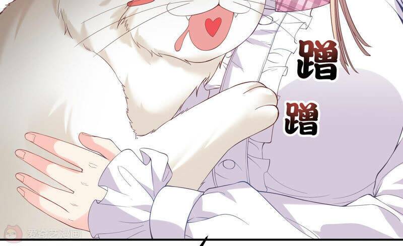 Siêu Năng Bất Lương Học Bá Chapter 7 - Trang 2