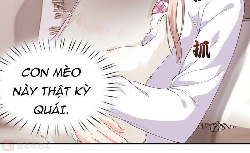 Siêu Năng Bất Lương Học Bá Chapter 7 - Trang 2