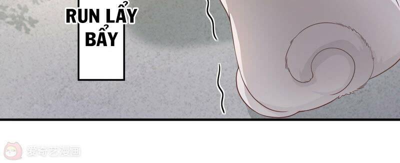 Siêu Năng Bất Lương Học Bá Chapter 7 - Trang 2