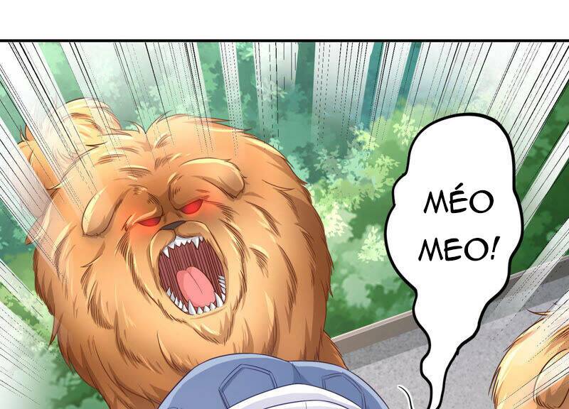 Siêu Năng Bất Lương Học Bá Chapter 7 - Trang 2