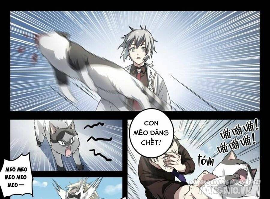 Siêu Thần Linh Chủ Chapter 46 - Trang 2