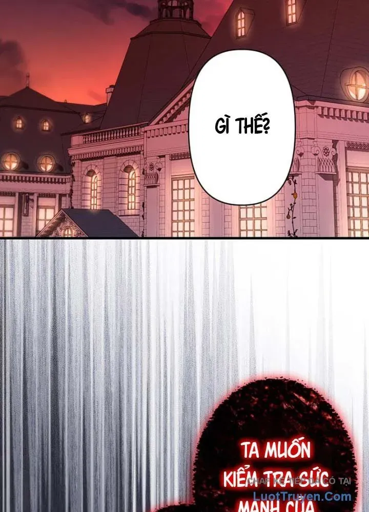 Siêu Trộm Kỹ Năng Cấp Cheat Chapter 15 - Trang 2