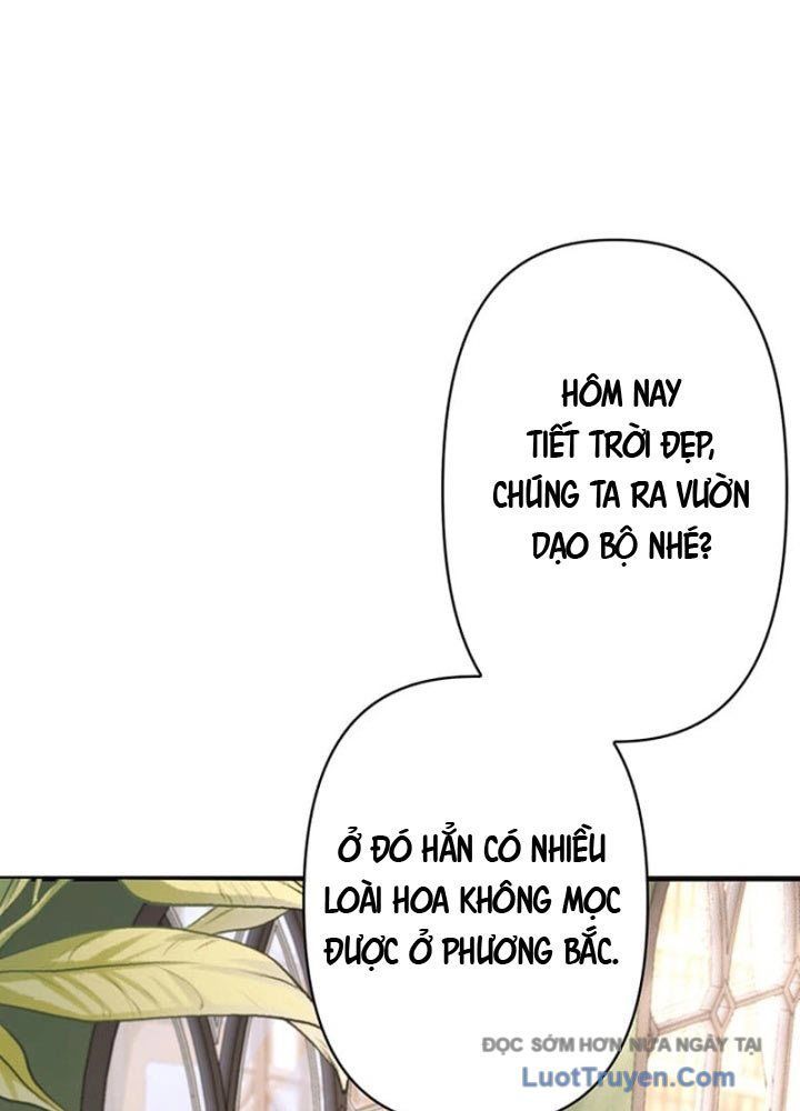 Siêu Trộm Kỹ Năng Cấp Cheat Chapter 5 - Trang 2