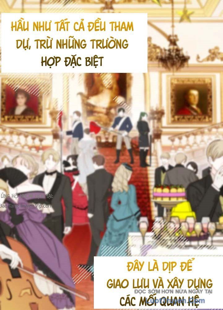 Siêu Trộm Kỹ Năng Cấp Cheat Chapter 6 - Trang 2