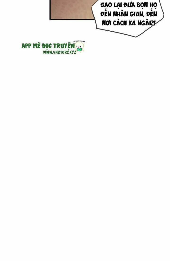 Sinh Hạ Long Chủng Chapter 126 - Trang 2