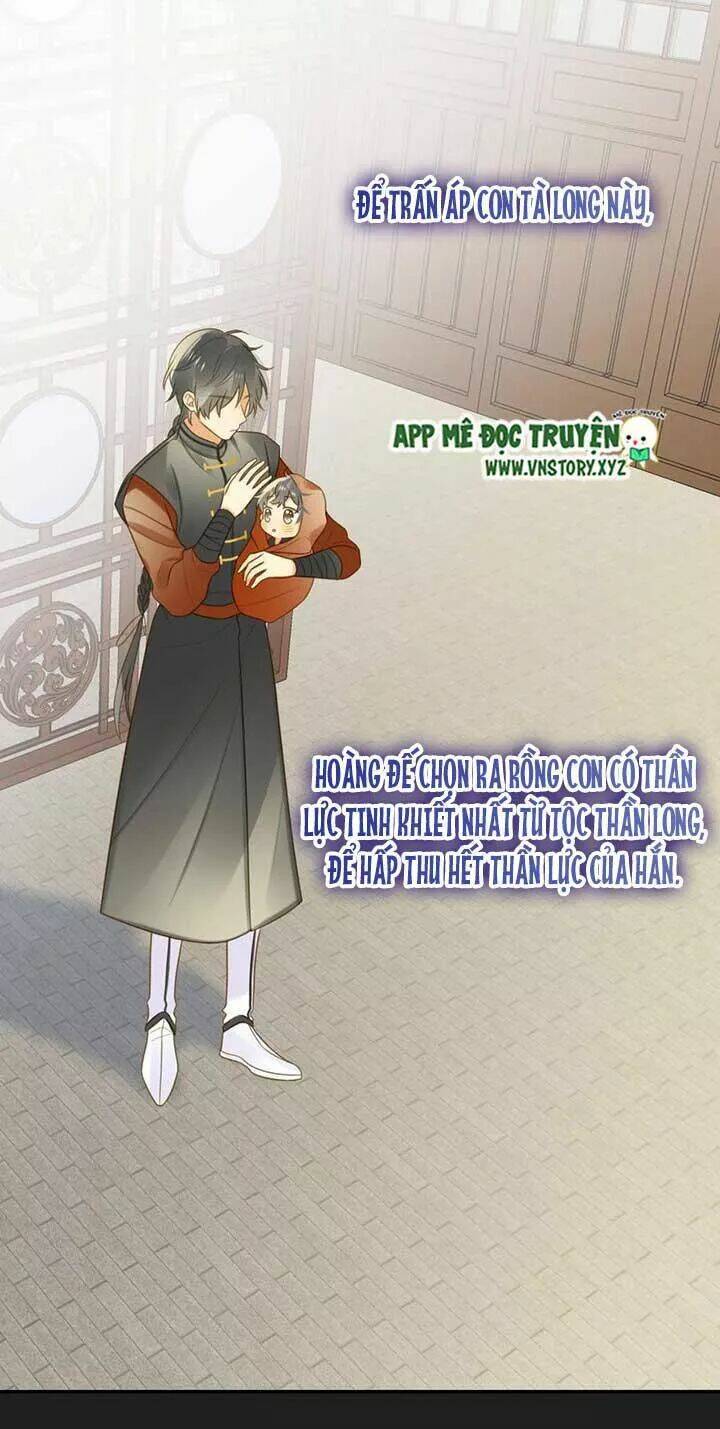 Sinh Hạ Long Chủng Chapter 141 - Trang 2