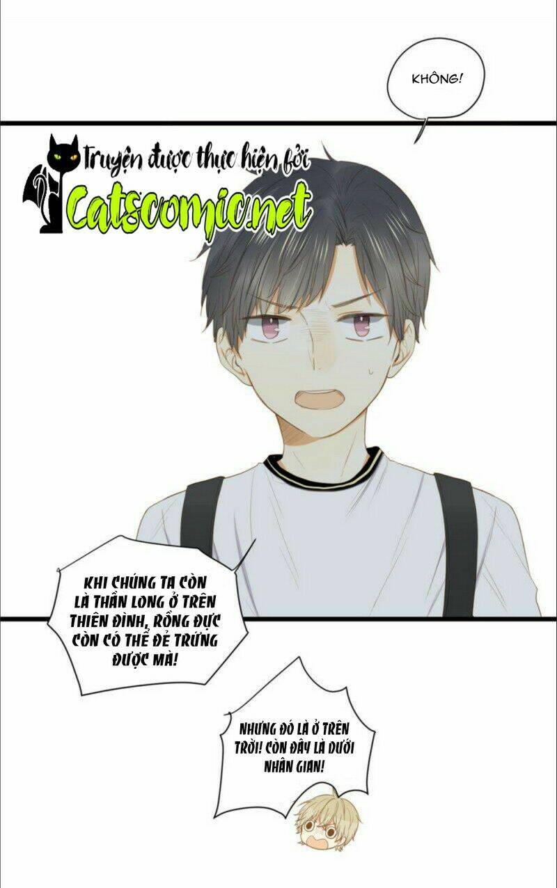 Sinh Hạ Long Chủng Chapter 2 - Trang 2