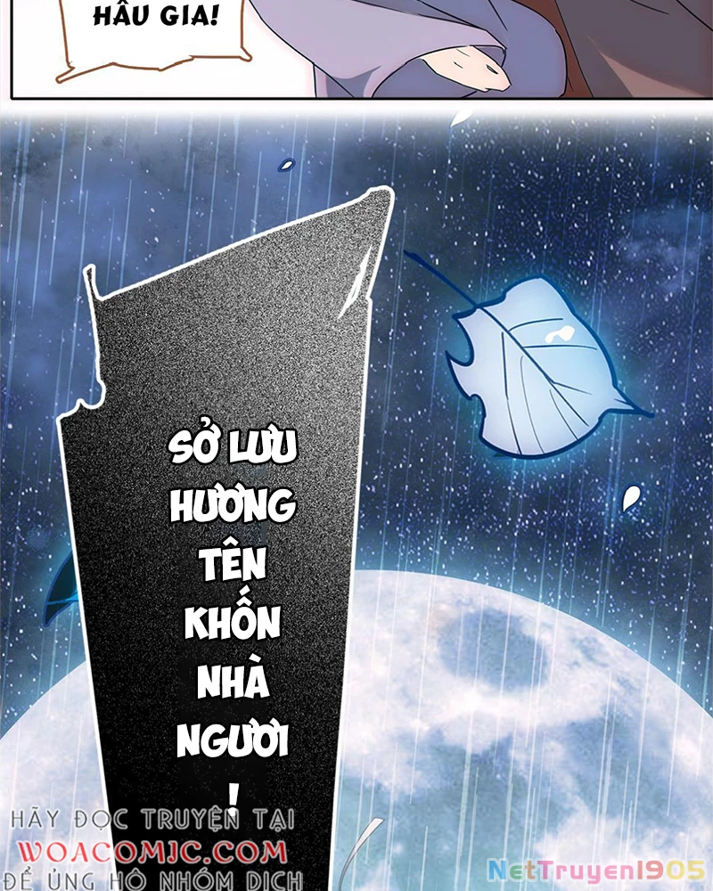 Sở Lưu Hương Truyền Kỳ Chapter 1 - Trang 2
