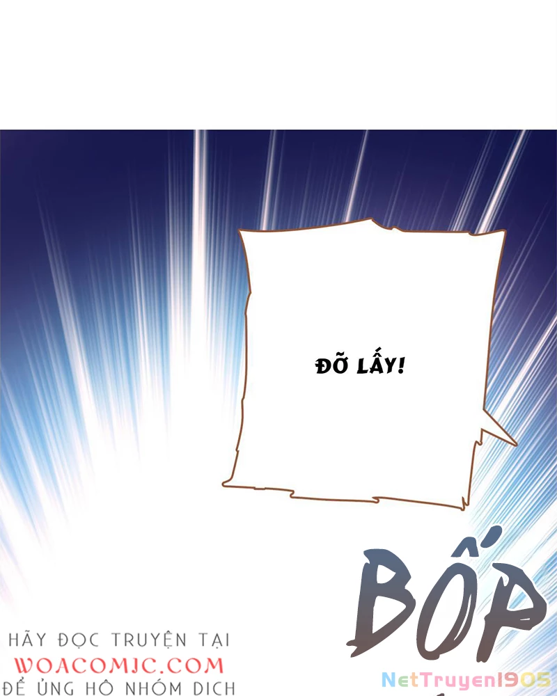 Sở Lưu Hương Truyền Kỳ Chapter 1 - Trang 2
